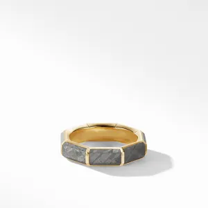 Faceted Band Ring in 18K Yellow Gold with Meteorite, Size 10