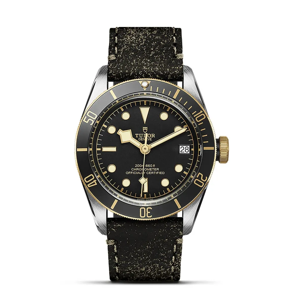 TUDOR Black Bay S&G 41mm Black Dial Steel & Gold Gents Watch M79733N-0007