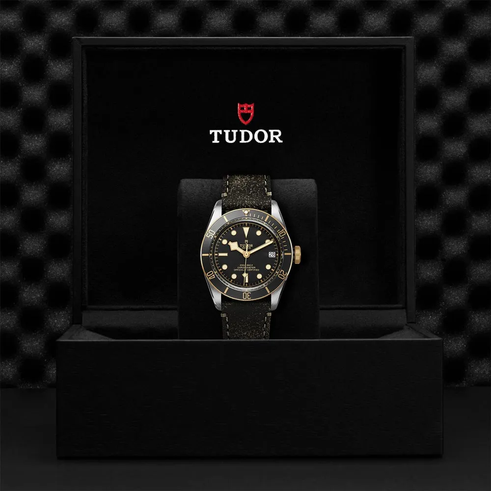 TUDOR Black Bay S&G 41mm Black Dial Steel & Gold Gents Watch M79733N-0007